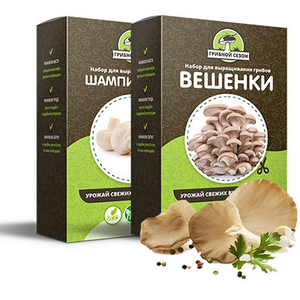 Набор для выращивания грибов Грибной Сезон